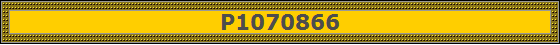 P1070866